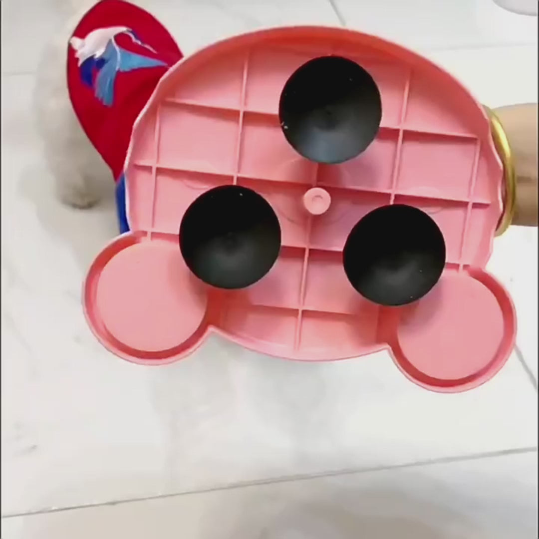 Snack Bandit: Your Ultimate Slow Feeder